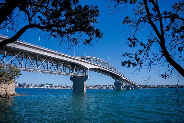 Auckland Full Day Attractions & Museums Tour