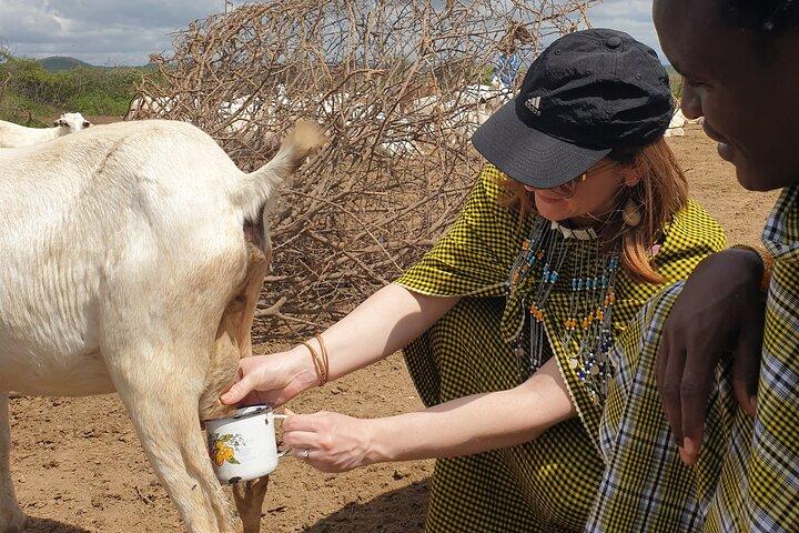 Maasai Coma Cultural Adventure Maasai Village Tour
