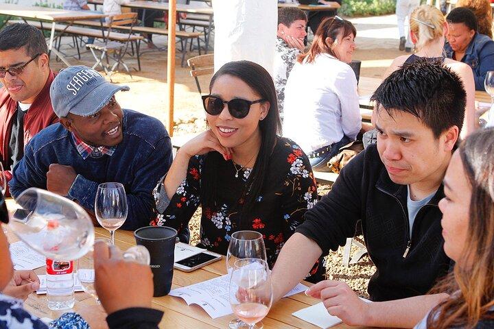 Wine Tour at Stellenbosch, Franschhoek, and Paarl