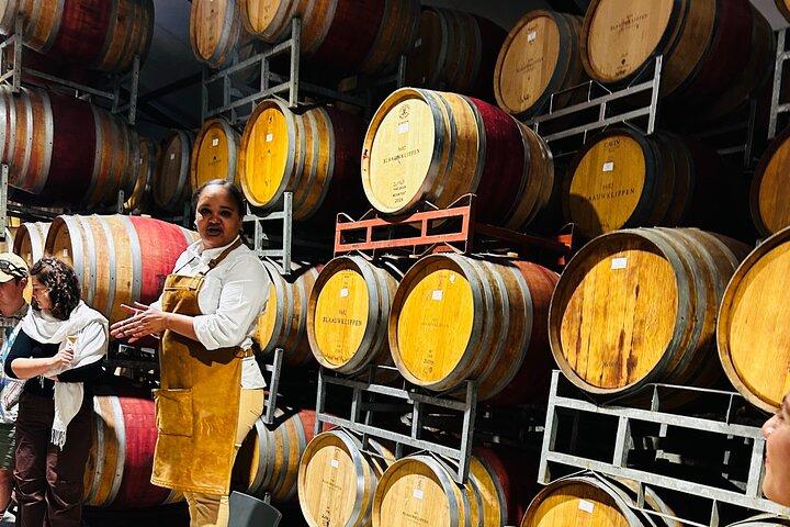 Wine Tour at Stellenbosch, Franschhoek, and Paarl