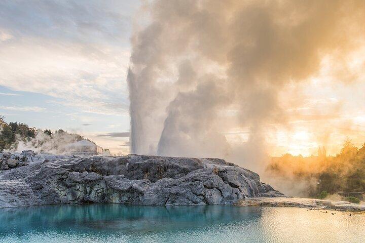 Waitomo Glow Worm Caves & Te Puia - Rotorua's Geothermal Valley