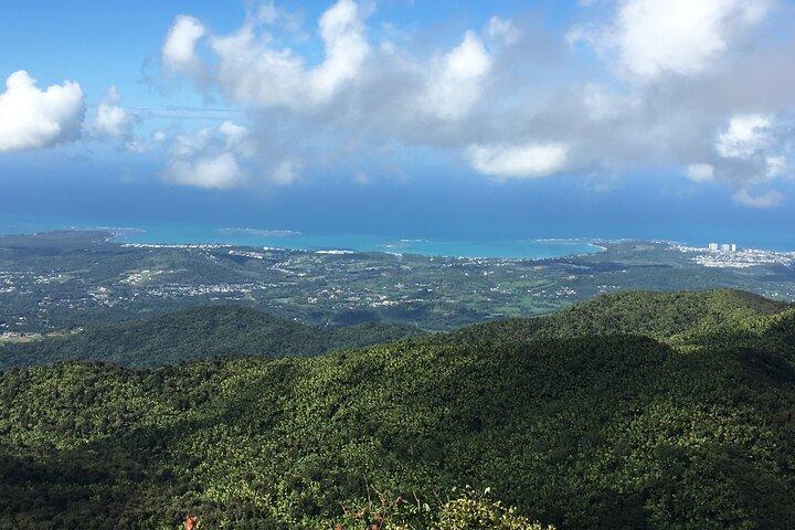 El Yunque Rainforest EZ-going Bus Tour (wheelchair accessible)