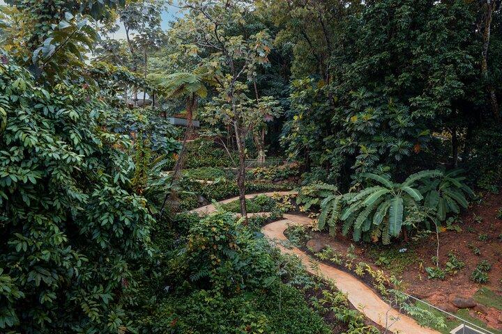 El Yunque Rainforest EZ-going Bus Tour (wheelchair accessible)