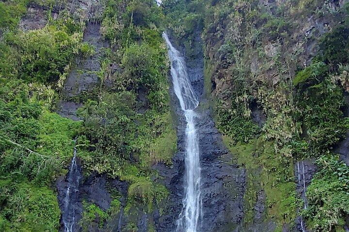 Shared 4.5hour enriching & informative Tours of Tahiti by Lydia