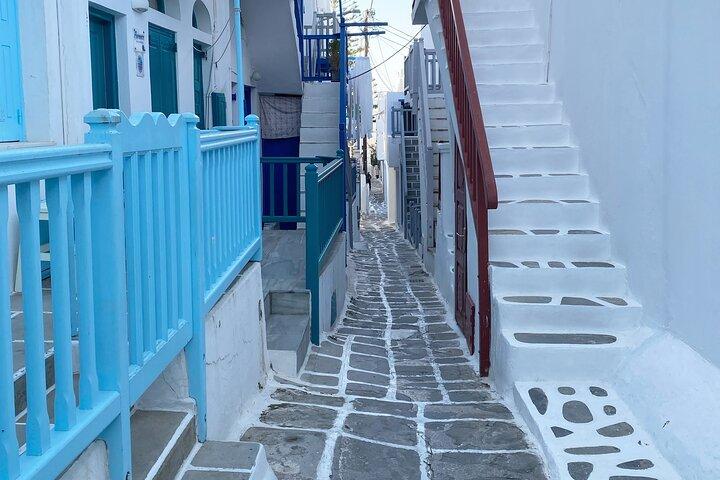 Mykonos Sightseeing Half-Day Private Tour