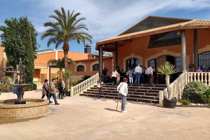 Alicante: Old Winery with Tastings & Arab Castle (XII cent)