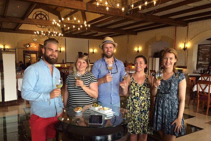 Alicante: Old Winery with Tastings & Arab Castle (XII cent)