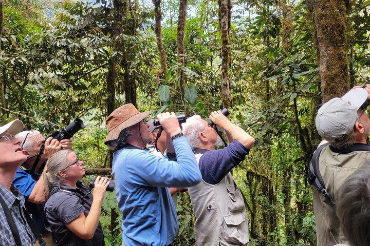 Mindo Cloud Forest Day Trip from Quito