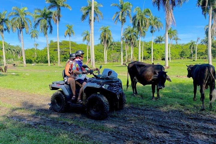 ATV Adventure Amber Cove and Taino Bay