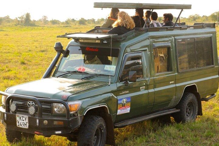 3 Day Masai Mara Migration 2026 | Daily Budget Safaris on 4×4