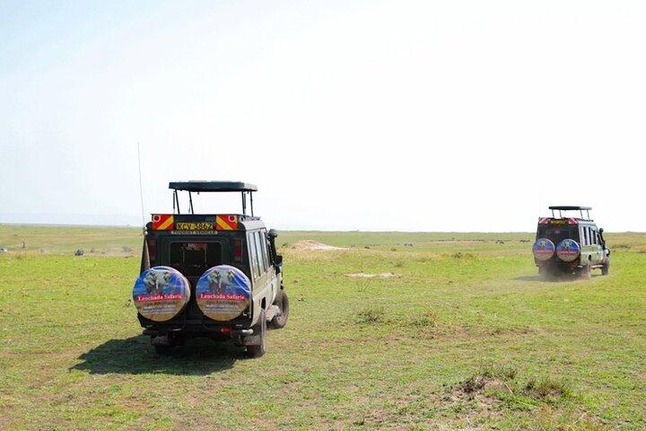 3 Day Masai Mara Migration 2026 | Daily Budget Safaris on 4×4