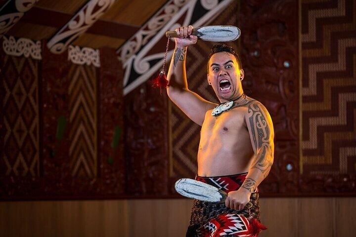 Waitomo Glow Worm Caves & Te Puia (Rotorua) Private Tour