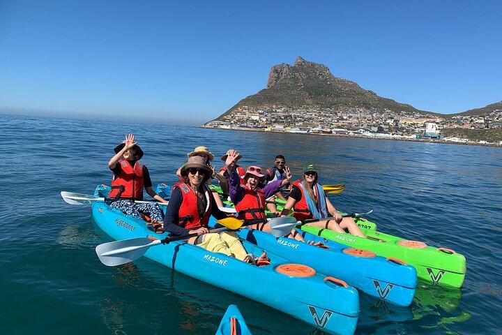 Two Hours Kayaking in Hout Bay