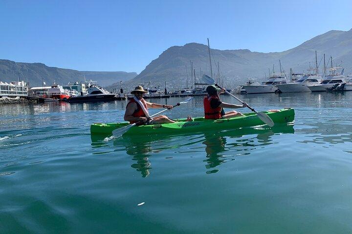 Two Hours Kayaking in Hout Bay