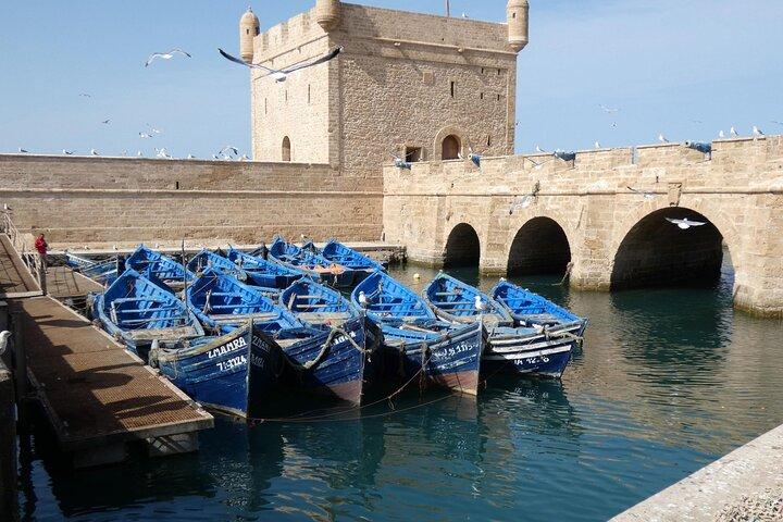 Shared Day Trip to Essaouira from Marrakech