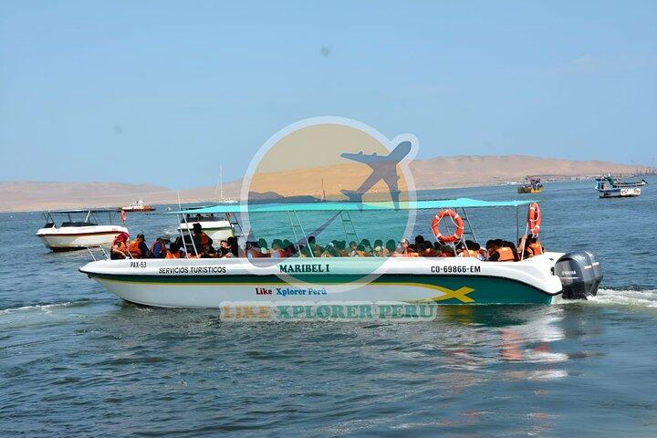 1 day tour to Ballestas Islands and Paracas National Reserve