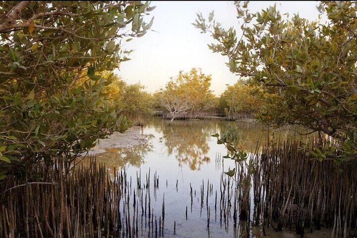 Doha Private North Tour Zubara Fort Purple Island & Mangrove
