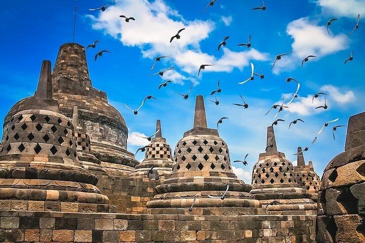 Borobudur Climb Up and Selogriyo Temple Rice Terraces Trekking