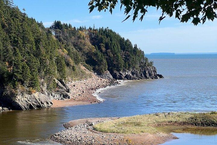 Saint John (NB) Bay of Fundy and Hopewell Rocks Private Tour