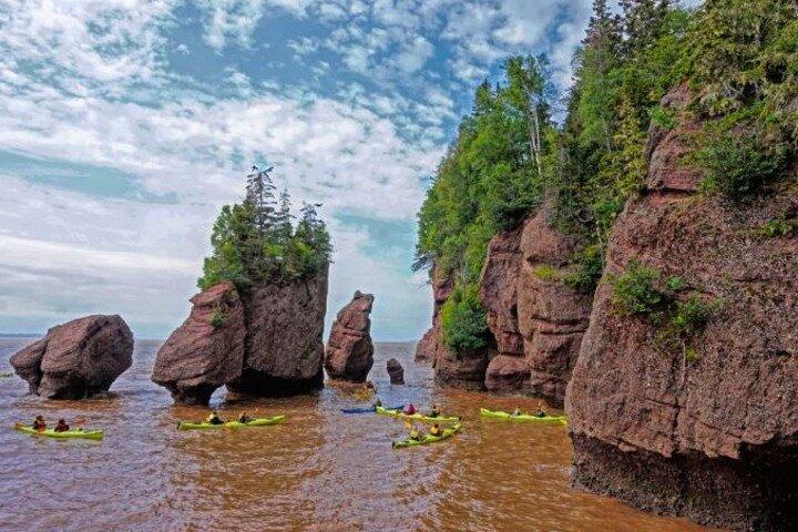 Saint John (NB) Bay of Fundy and Hopewell Rocks Private Tour