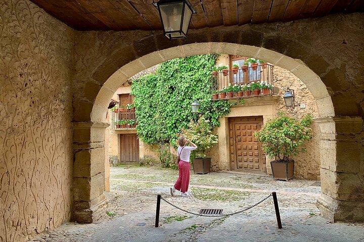 Segovia and small group family winery tasting from Madrid