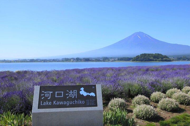Tokyo: Mount Fuji Must-see Attractions One Day Sightseeing Tour