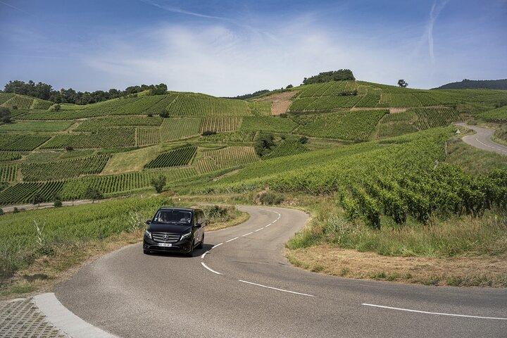 Private Alsace Grand Cru Private Tour from Strasbourg and area