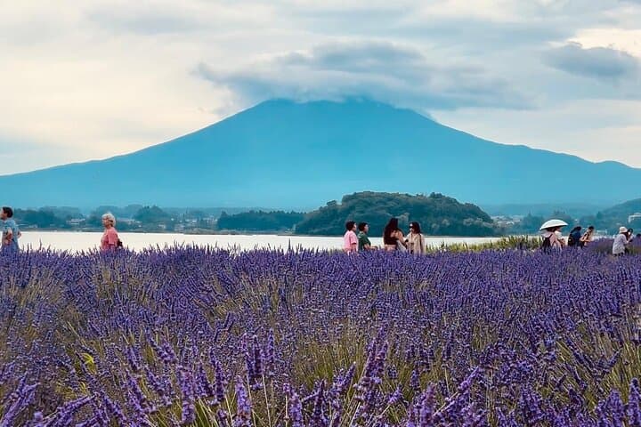 Fuji and Hakone Private Tour with English Guide and Photography