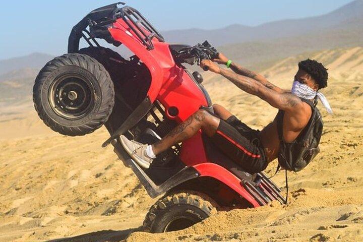 Cabo San Lucas Combination Tour: Land and Sea Adventure