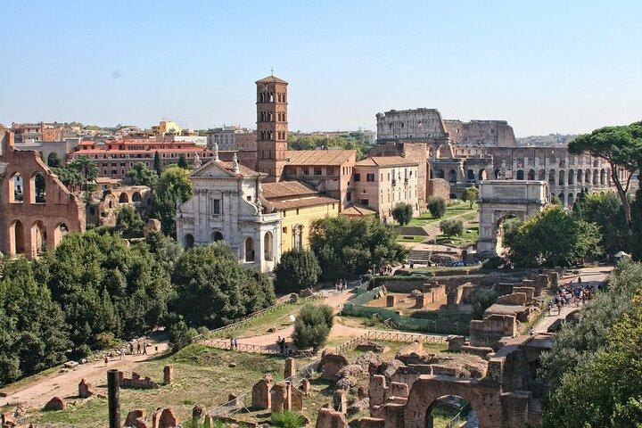 Rome: VIP Colosseum Underground Guided Tour
