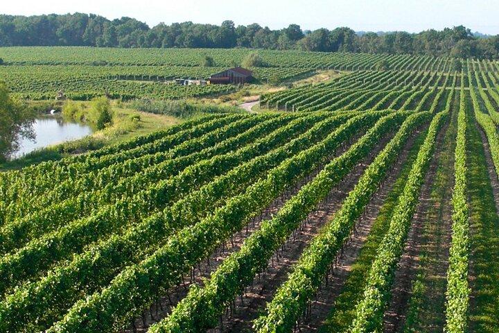 Niagara-on-the-Lake Wine Tour with Tastings
