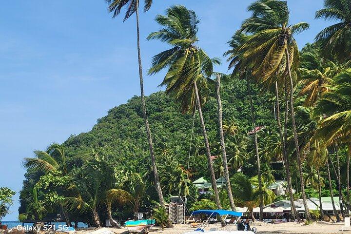All-Inclusive Land And Sea Excursion