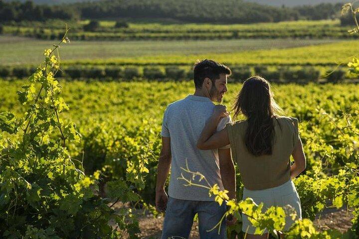 Valencia Vineyard Tour with Wine Tasting, Cava and Snacks