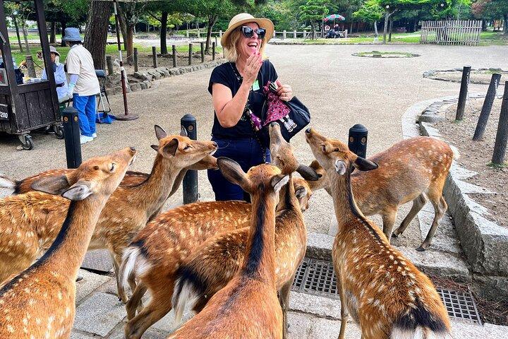 Morning Wonder World Heritage Nara Guided Tour