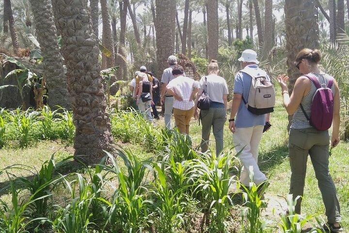 Full day trip the unknown Pyramids Maidum, Hawara and El Lahun