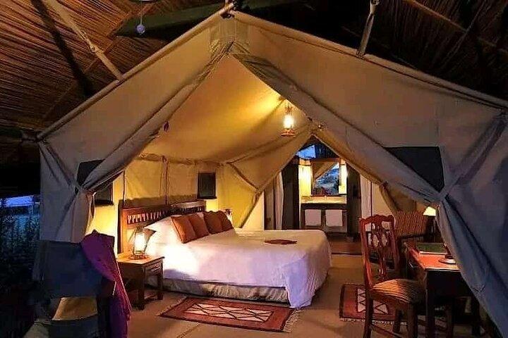 3 days Masai Mara mid luxury 4WD with a tour land cruiser JEEP