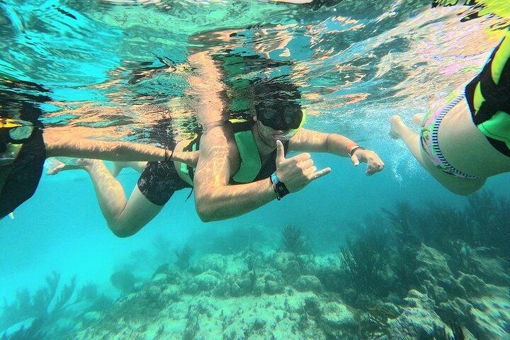 Swim with Turtles in Akumal + GoPro Photo Session