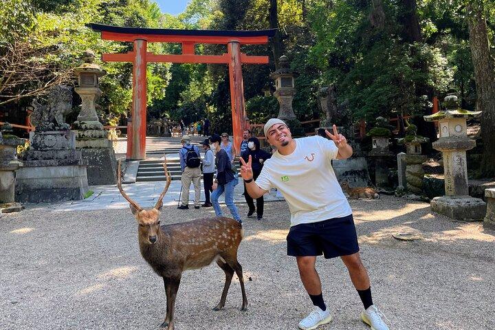 Morning Wonder World Heritage Nara Guided Tour