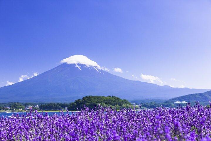 Tokyo: Mount Fuji Must-see Attractions One Day Sightseeing Tour