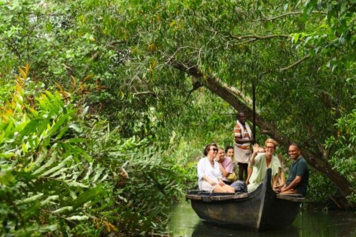 Backwater Tour from Cochin