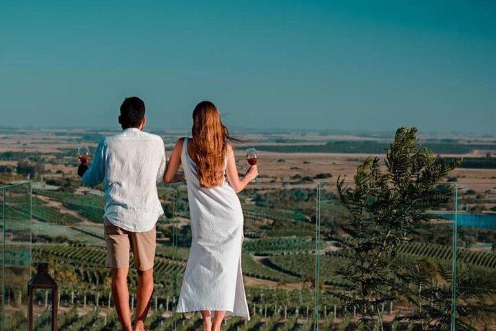 Wine Lovers - Bodega Garzon Experience