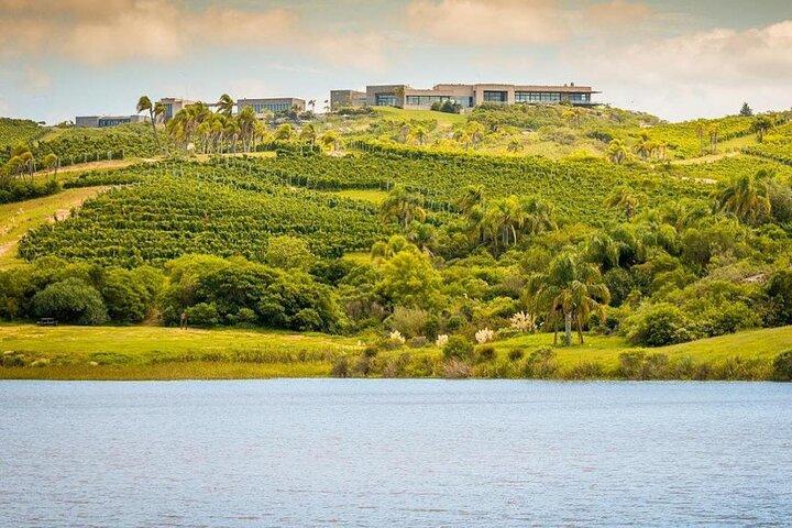 Wine Lovers - Bodega Garzon Experience