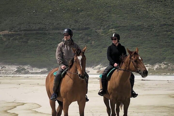 Beach Horse Ride - Hotel Pickup & drop-off included. CAPE TOWN