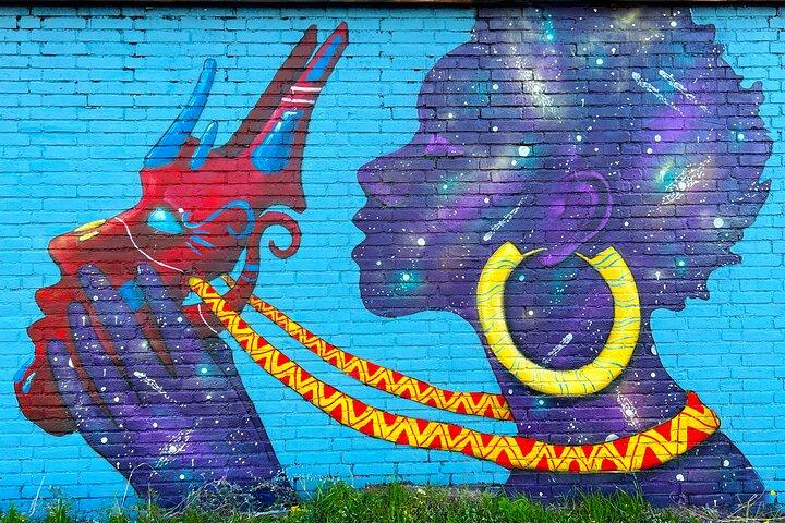 Street Art Walking Tour with a private local Dutch guide