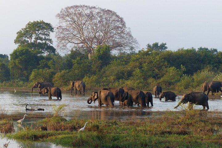 7 Day Sri Lanka Tour Package