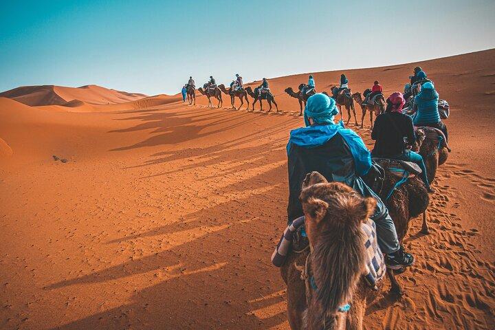 Dubai Desert Safari Camel Ride Sand Boarding BBQ Dinner