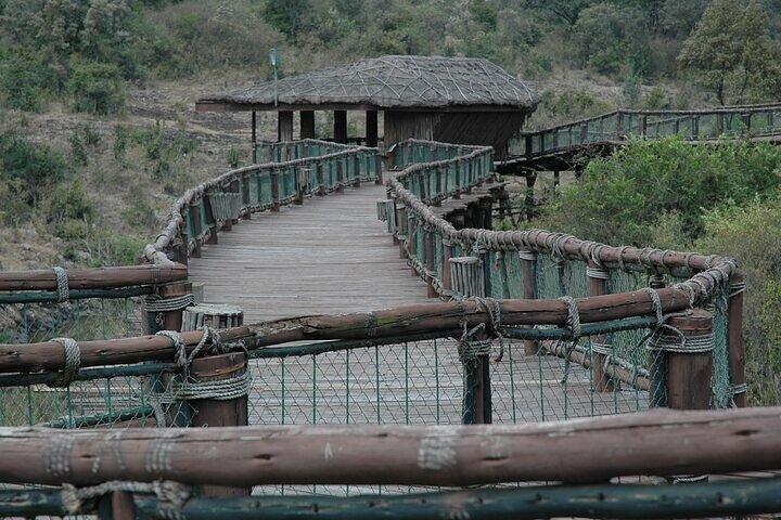 Safari Walk Tour with Animal Orphanage in Nairobi