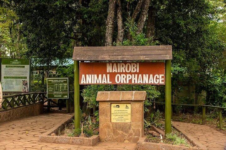 Safari Walk Tour with Animal Orphanage in Nairobi