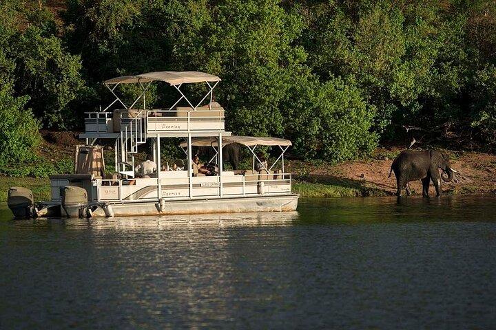 Chobe Day Trip From Victoria Falls Zimbabwe