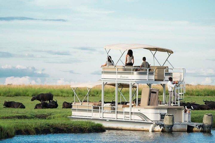Chobe Day Trip From Victoria Falls Zimbabwe